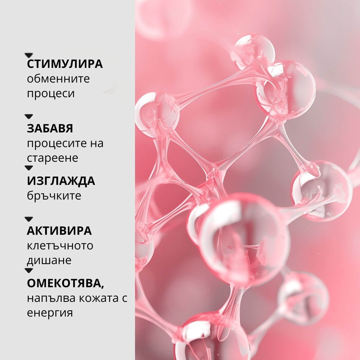 tiande (1081 x 1081 пиксела) (27)
